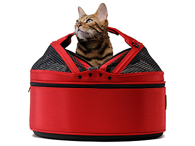 Sleepypod Keeps Your Kitty Cozy