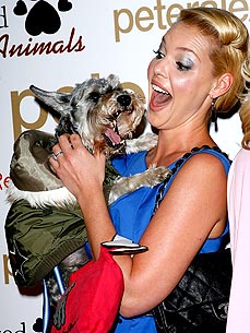 New PJ Designs Inspired by Katherine Heigl's Lil Pup Romeo