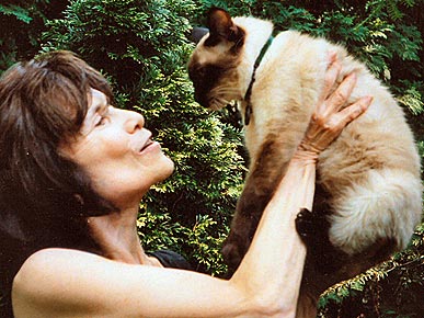 Confessions of a Cat Therapist