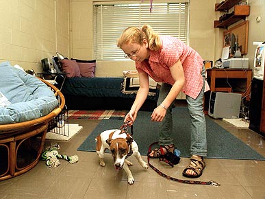Pets on Campus? Yes, Say Many Universities