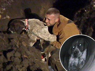 Tight Squeeze! Hunting Dog Rescued from Pipe