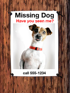 Bookmark This Site: FindToto.com