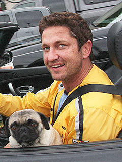 New York Man Accuses Gerard Butler of Hitting His Dog