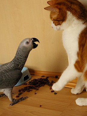 Caption Winner: Thanks For the Funny Line, Wendy!
