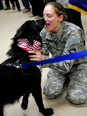 U.S. Soldier Finally Reunited with Iraqi Dog