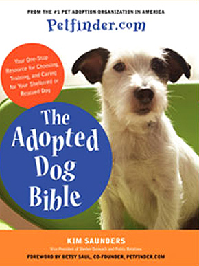 Adopted Dog Bible Says Be Prepared To Sleep With Your New Pup
