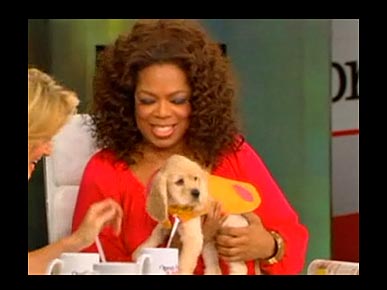 Oprah: My Sick Pup Sadie is "Hanging in There"