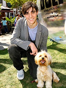 Is Your Pooch a Potential Star? Disney Wants Your Dog!