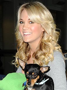 Carrie Underwood, "American Idol" Team Up to Help Needy Pets