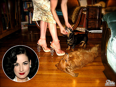 Celebs All A-Twitter Over Their Pets!