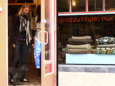 Spotted: Claire Danes Pampers Her Pooch in N.Y.C.