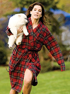 Meet The Proposal's Pooch Scene Stealer!