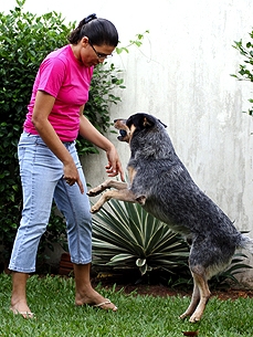 Petiquette: How to Dodge a Friend's Kissing Canine?