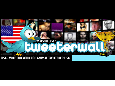 Which Pet Tweets the Best? Cast Your Vote Now!