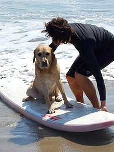 The Water Bowl: On the Hunt for Pythons in Florida, Plus: Contact Lenses For Lions?