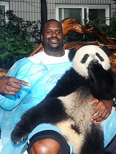 Spotted: Shaq Plus Panda Equals 1 Giant Meeting!