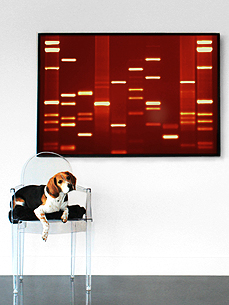 From Woof to Warhol! Turn Your Pet's DNA into Modern Art
