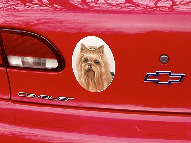 The Water Bowl: Chinese Barking Mad over One-Dog Law; Plus, Cat Survives 60-Mile Ride Under Car!