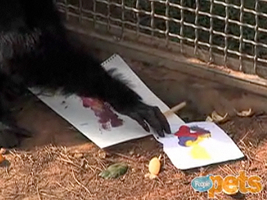 Chimp Artists Make a Colorful Splash in a Louisiana Art Exhibit