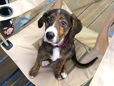 Caption Contest: What's This Seat Stealer Saying?