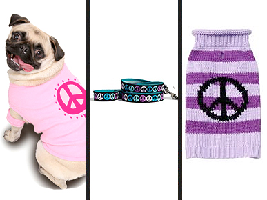 The Water Bowl: Puppies Win in John Mayer Mug Shot Challenge; Plus: Mice in Space!