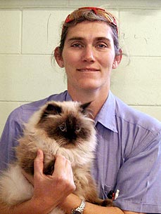 Clyde the Cat Returns Home After 3-Year Journey
