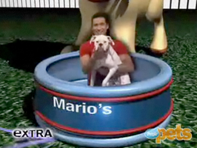 Sneak Peek: Mario Lopez Takes His Puppy Hunt to a Shelter