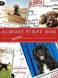 Life Before Bo? Meet the Dogs Who Could've Been First Pup!