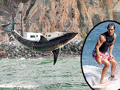 Warning: Shark Sighting at Celebrity Surf Beach