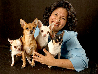 Meet a Member: Ada Nieves's Talented Chihuahuas Lead a Hollywood Life