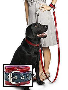 Cute Splurge: Shabby Dog's Tongue-in-Cheek Collection