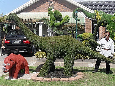 Grass Menagerie: Australia Man Has a Zoo of a Garden!
