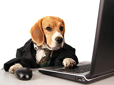 Show Off Your Pet's Tricks on PEOPLE.com!