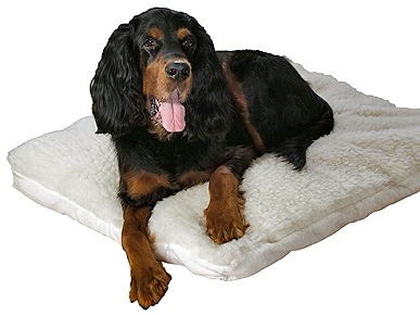 Natura Pet Bed Is a Cozy Creature Comfort
