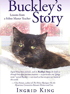 What Can You Learn from a Terminally Ill Cat? To Live in the Moment