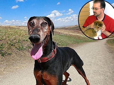 Meet a Member: Dog Photographer Brian Burke