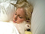 Exclusive: Heidi and Spencer Pratt Welcome Fourth Dog