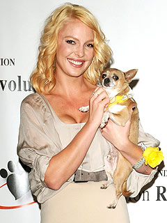 Katherine Heigl Pledges $1 Million to Help Animal Shelters