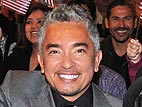 Video: Cesar Millan Answers Your Burning Pet Questions!