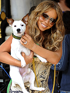 The Water Bowl: New York Vet Sues Mariah Carey! Plus, Would You Eat a Lion Meat Burger?