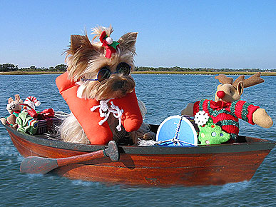 Congrats, Lourdes! You Win This Week's Caption Contest
