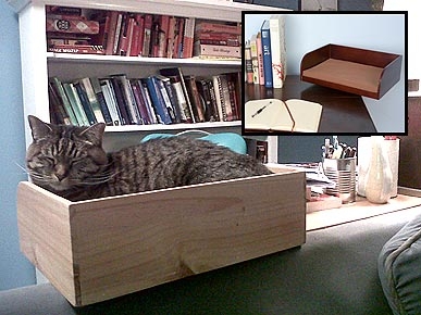 REVIEW: Kitt-In Box a Dream for Snoozing Keyboard Cats