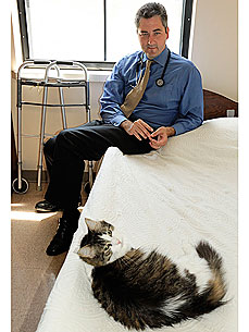 Oscar, the Cat Who Senses Death, Is the Star of New Book