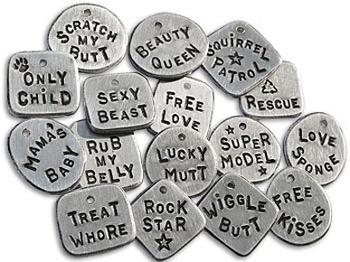 Express Yourself (And Your Pet!) With a Personalized Fetching Tag
