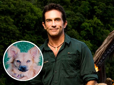 Jeff Probst's Dog Could Take On Any 'Immunity Challenge'