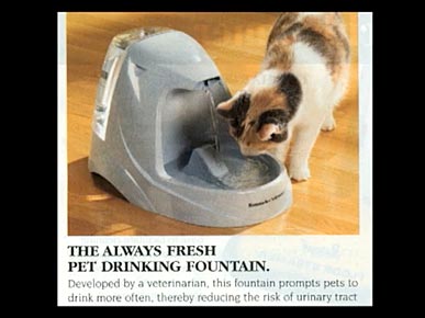 Friday's Funny Video: SkyMall Kitties!