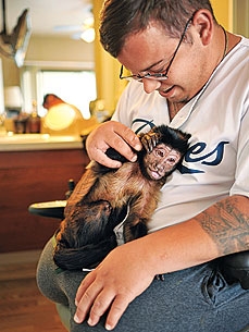 How Webster the Monkey Helps An Injured Marine