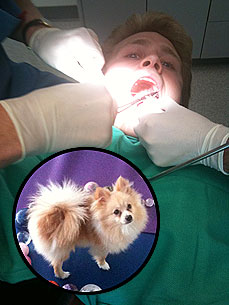 Ouch! Spencer Pratt Gets Stitches After Rough Puppy Play