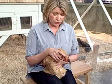 Martha Stewart Hypnotizes a Chicken!