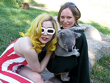 Spotted: Pawparazzi Catch Lady Gaga Chilling with a Koala